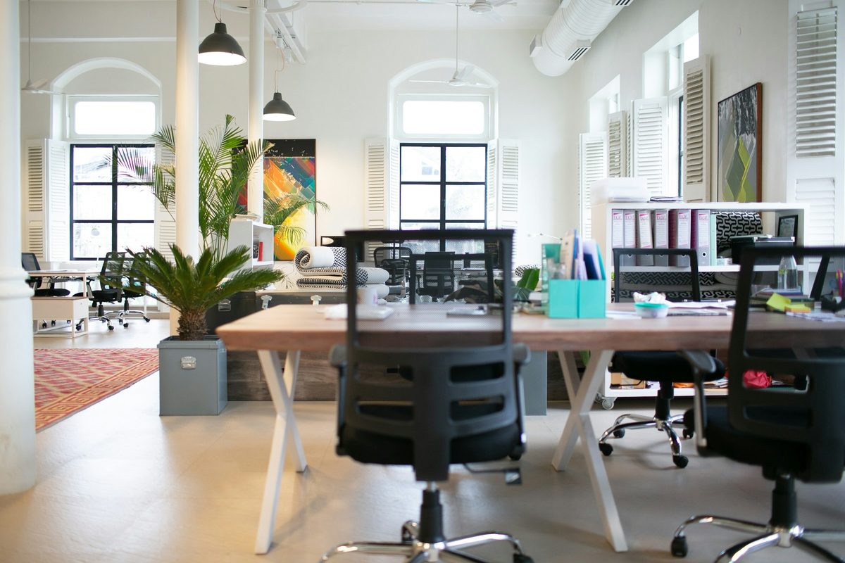 A bright open-plan office interior with empty desks, chairs and plants